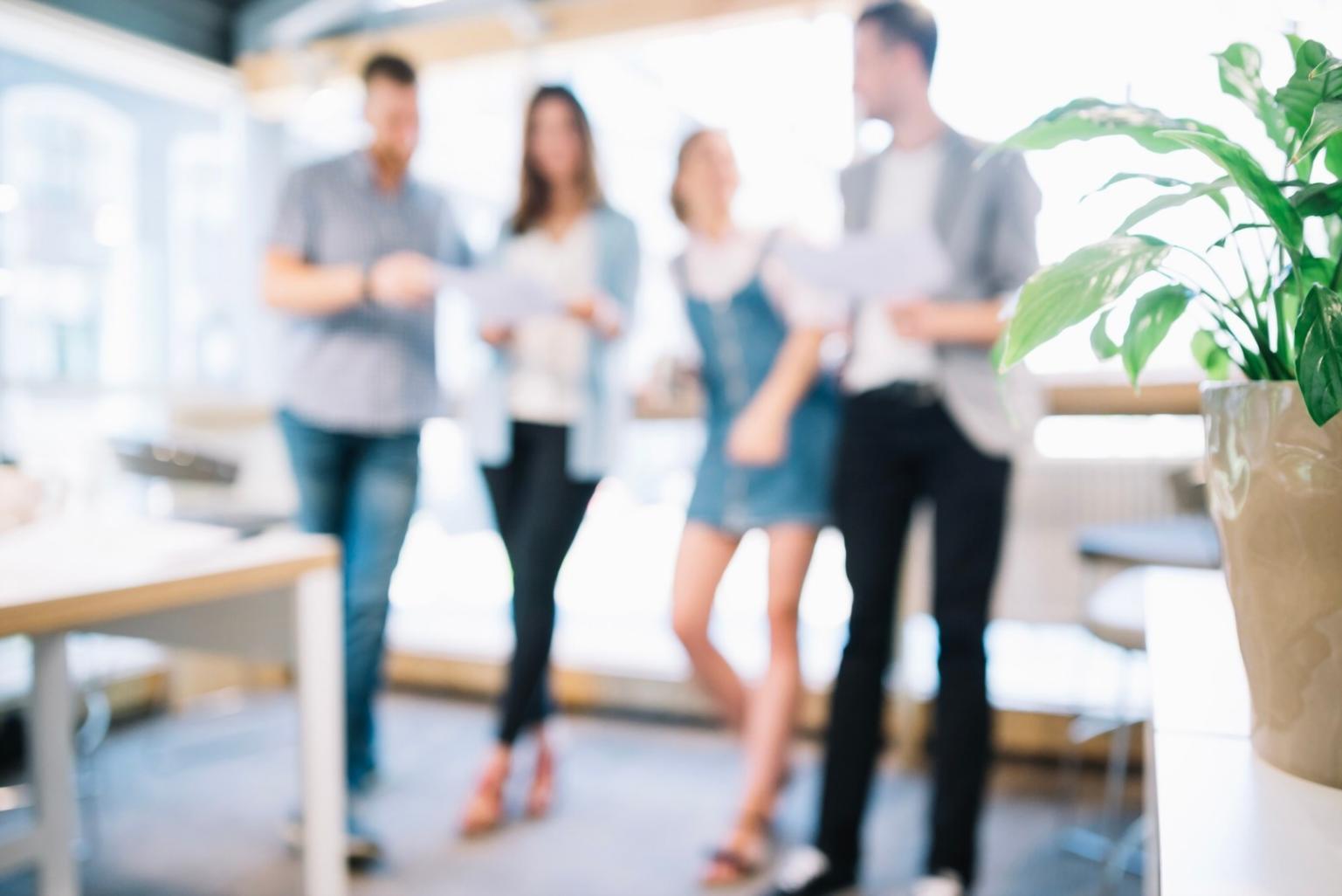 Analyzing investor profiles and strategic fundraising planning